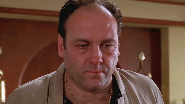 James Gandolfini The Sopranos